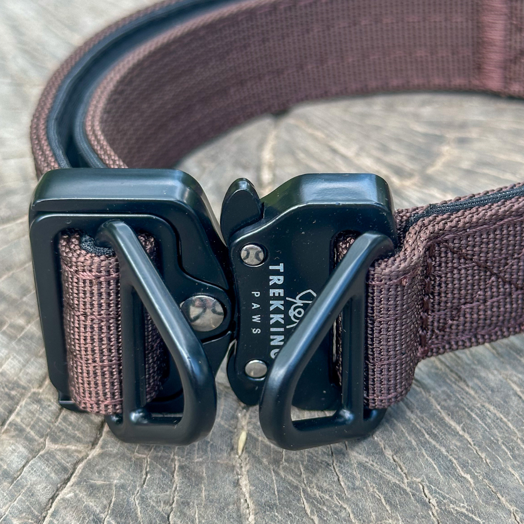 Trekking Light-Duty Dog Collar