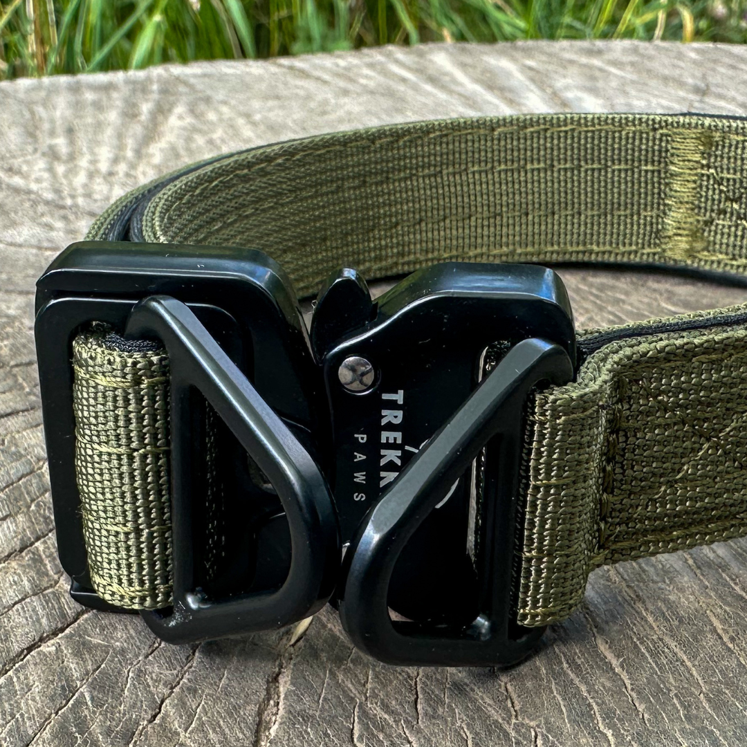 Trekking Light-Duty Dog Collar