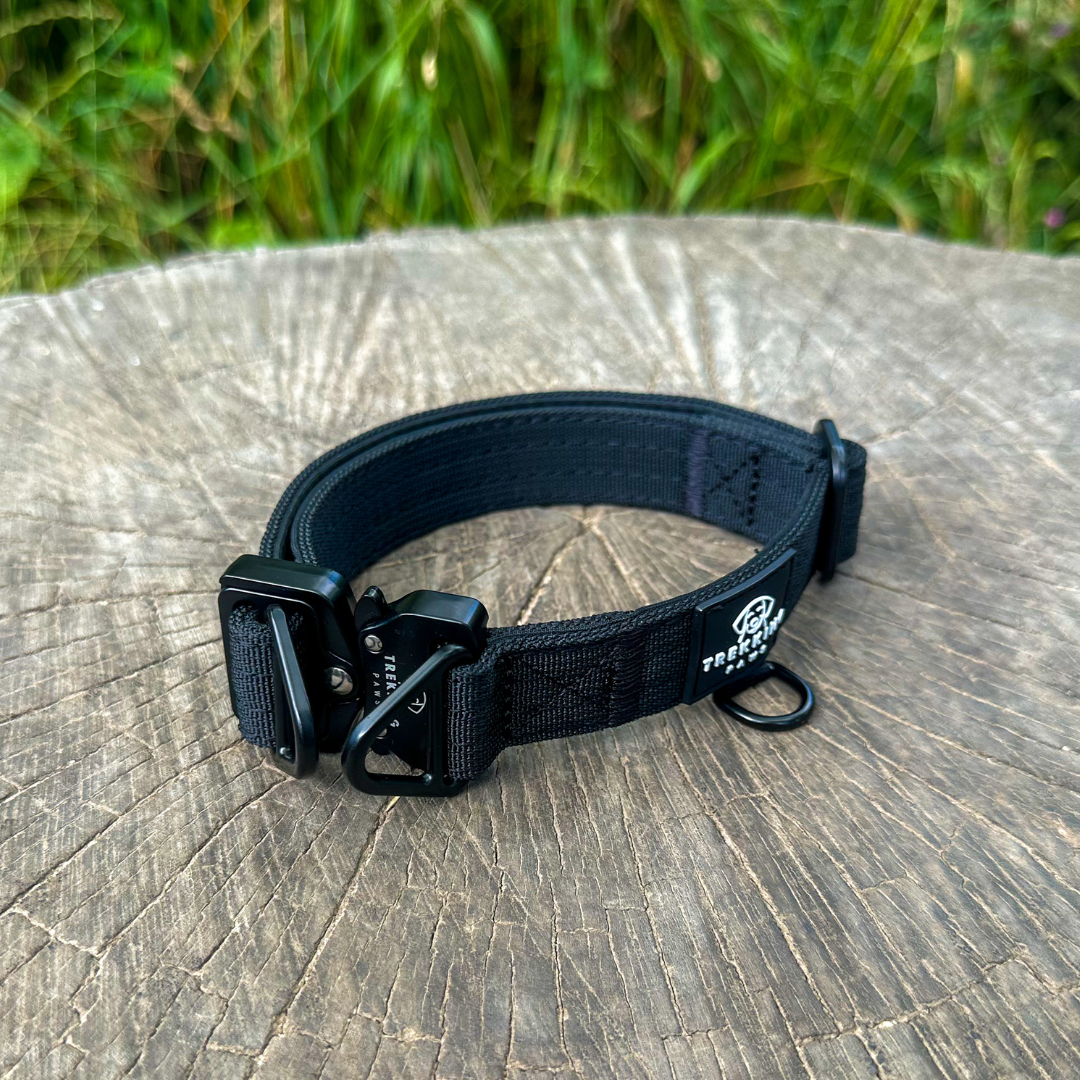 Trekking Light-Duty Dog Collar