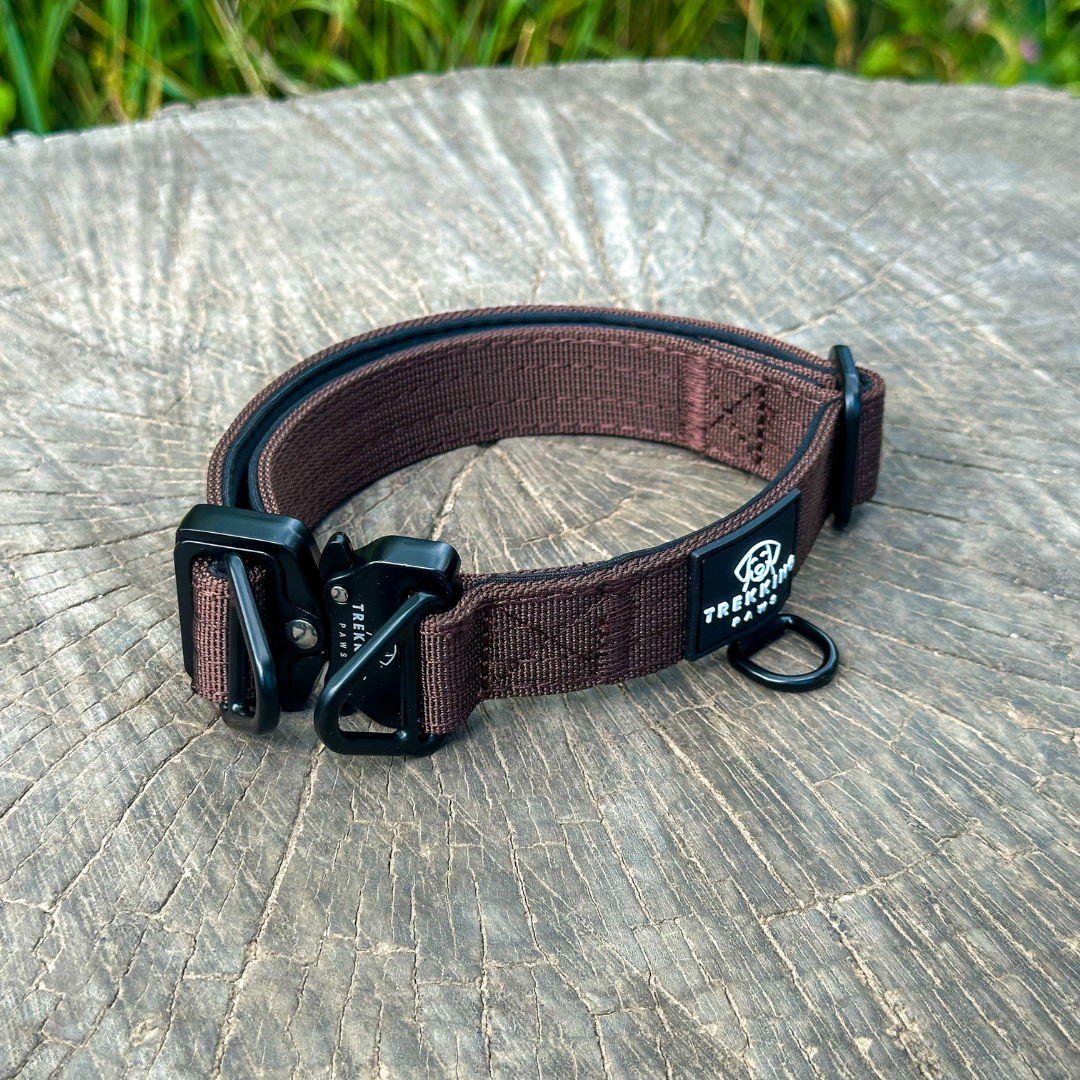 Trekking Light-Duty Dog Collar