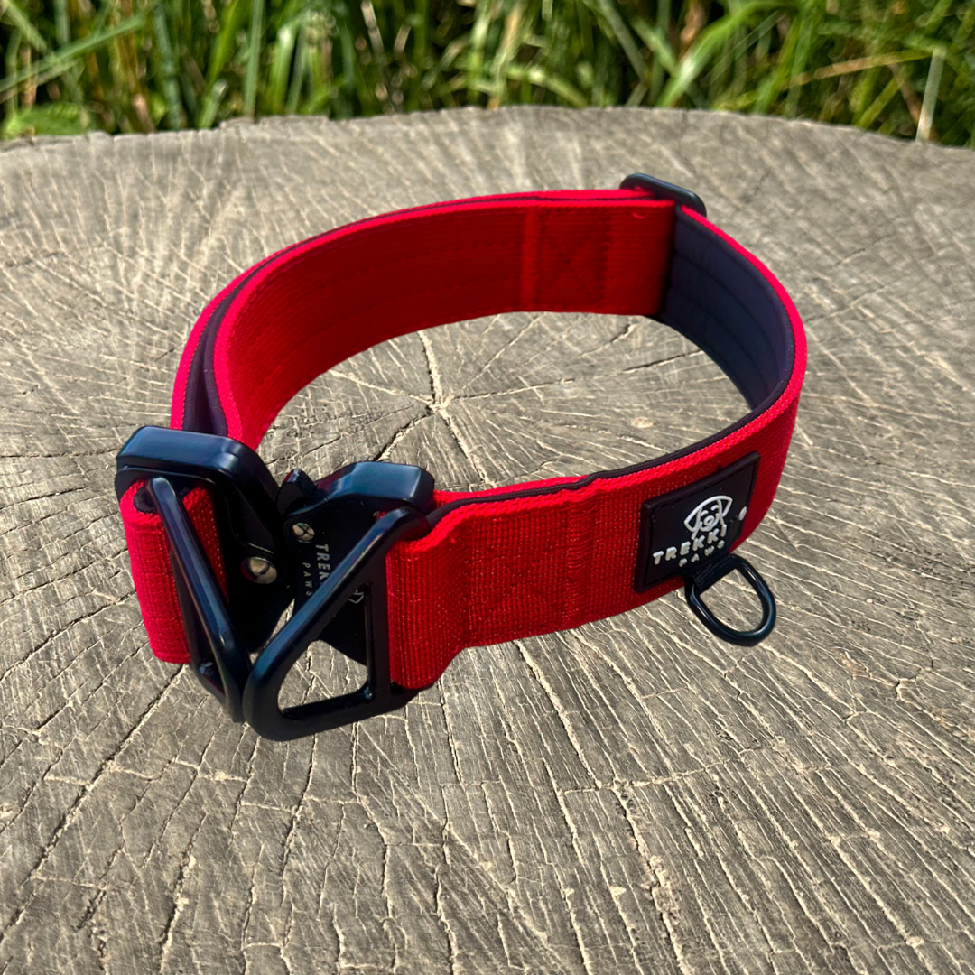 Trekking Heavy-Duty Dog Collar
