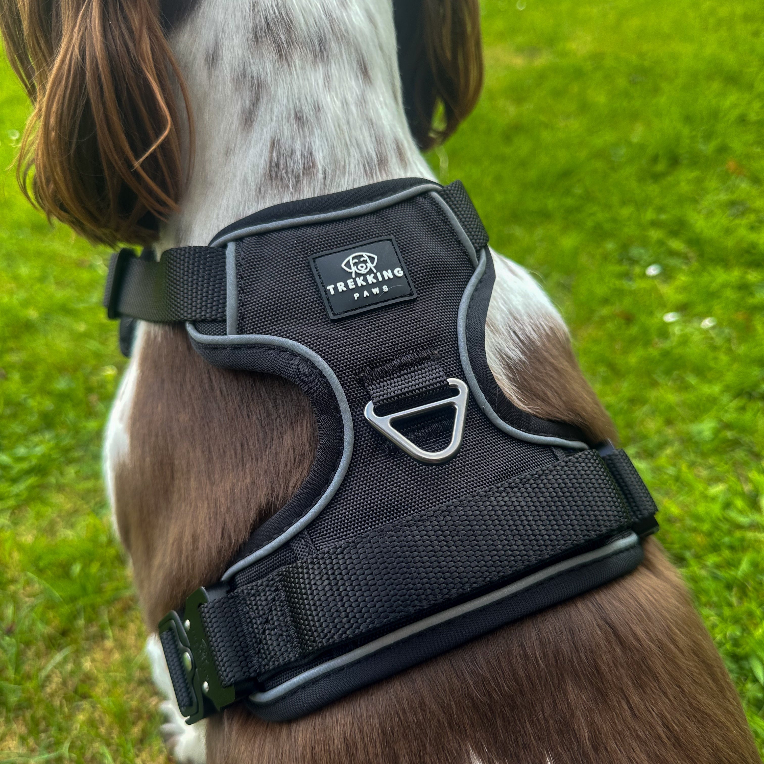 Trekking Paws Explora Dog Harness