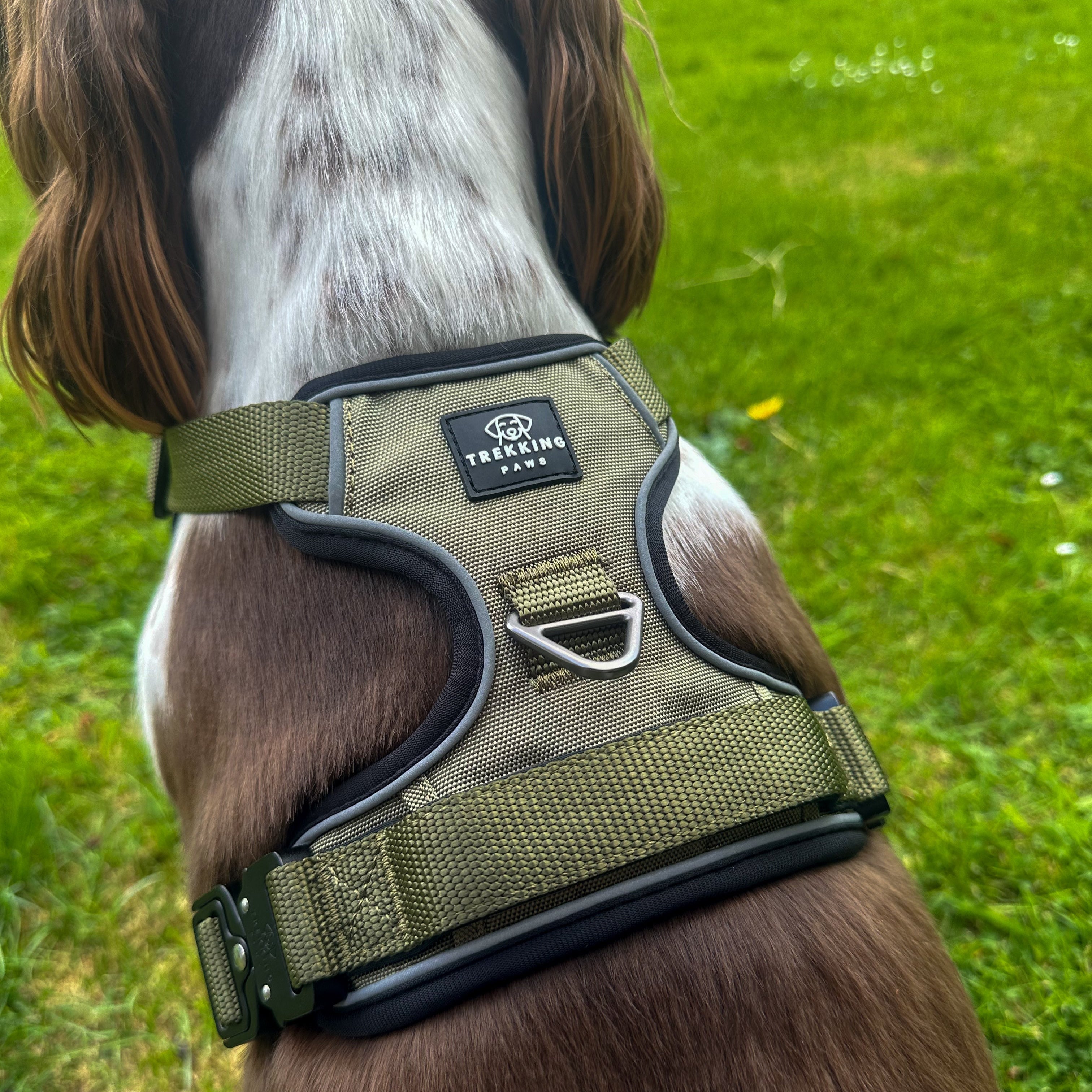Trekking Paws Explora Dog Harness