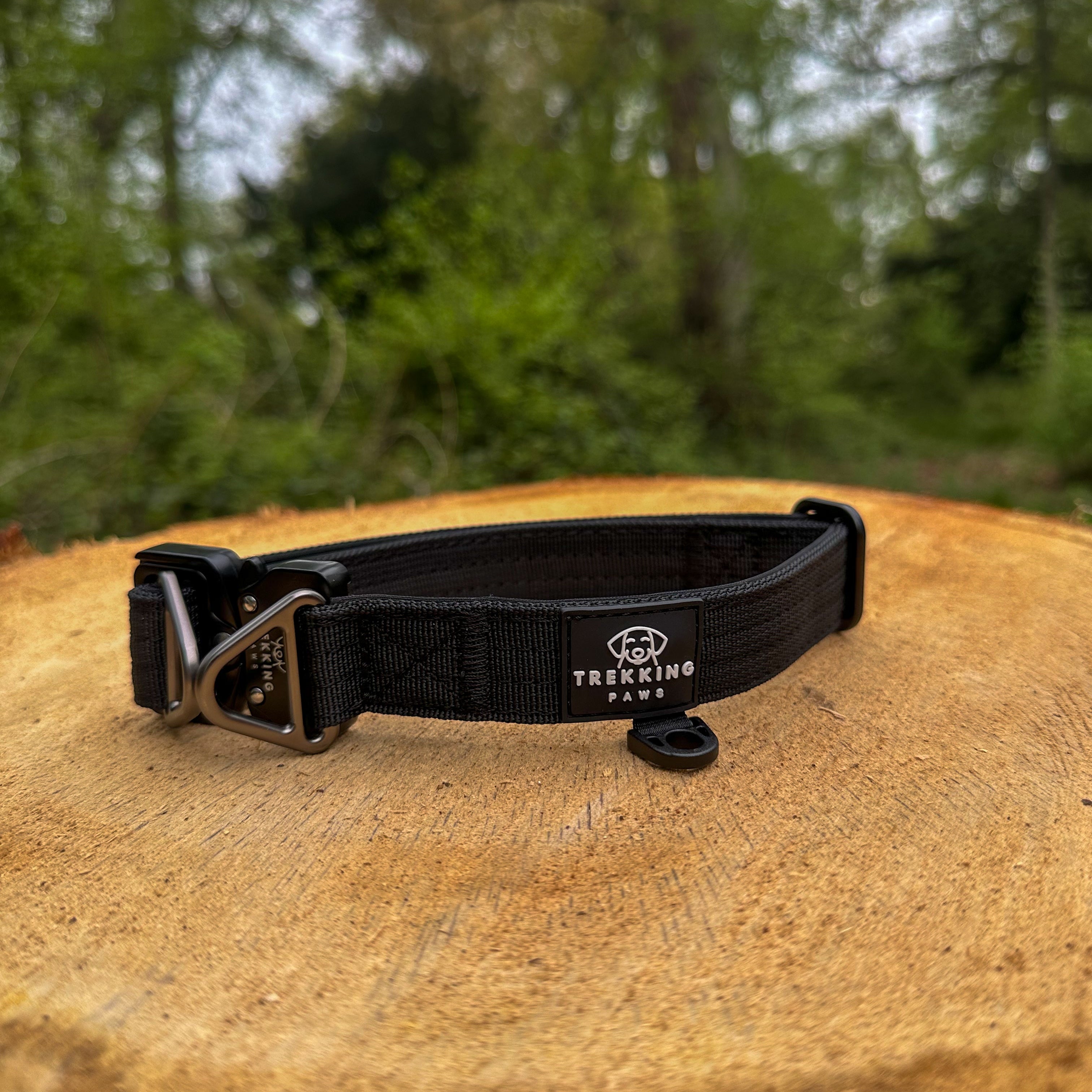 V2 Trekking Light-Duty Dog Collar