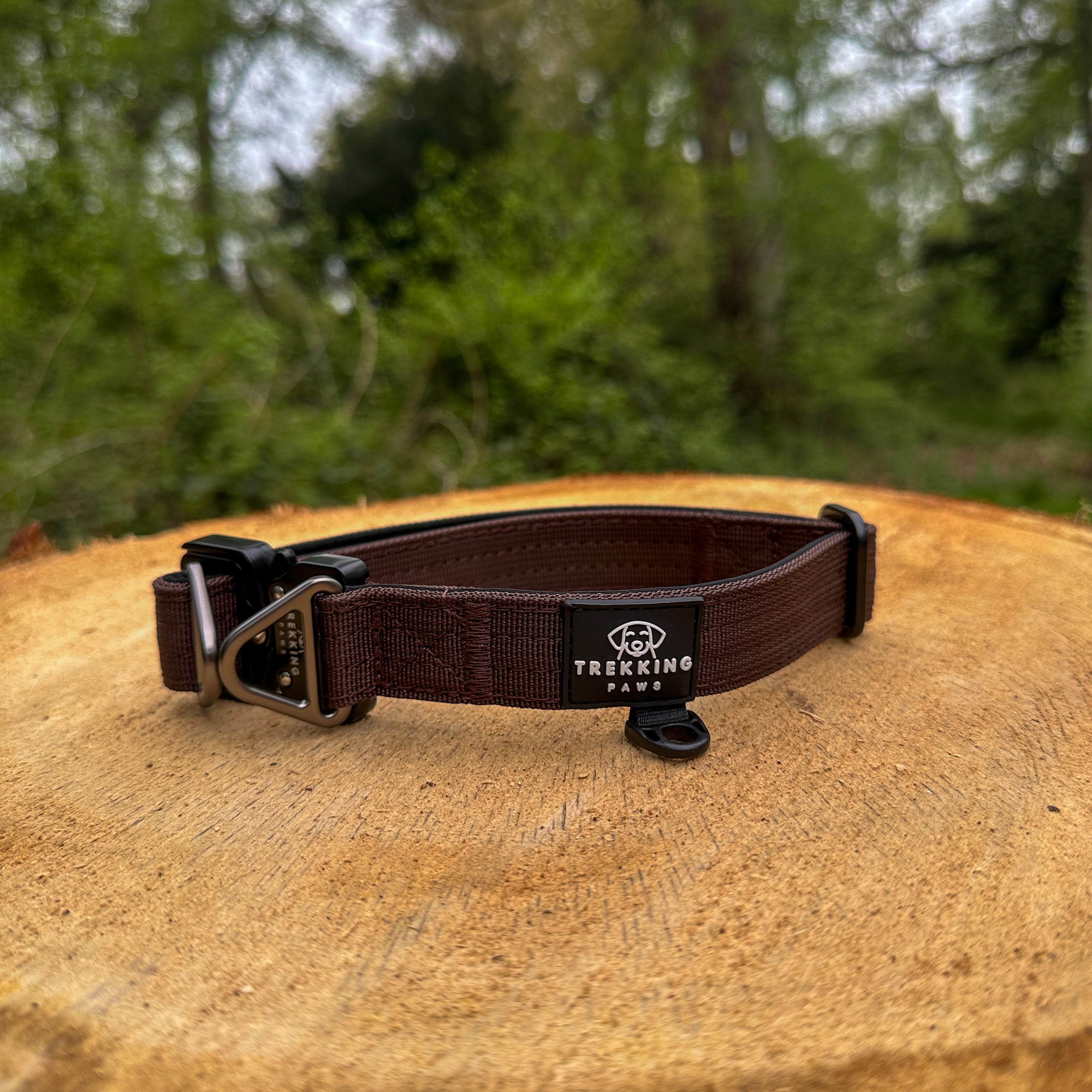 V2 Trekking Light-Duty Dog Collar