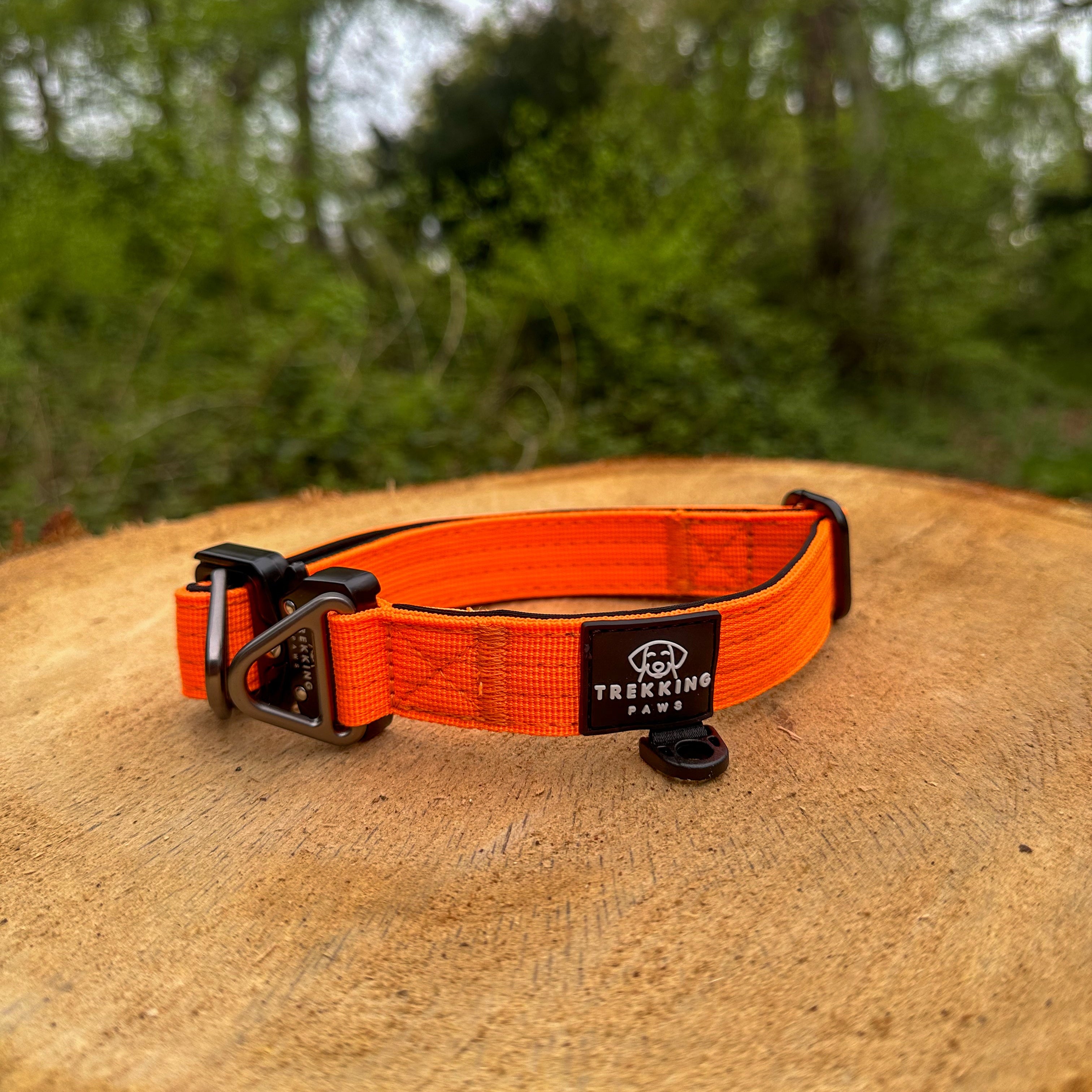 V2 Trekking Light-Duty Dog Collar