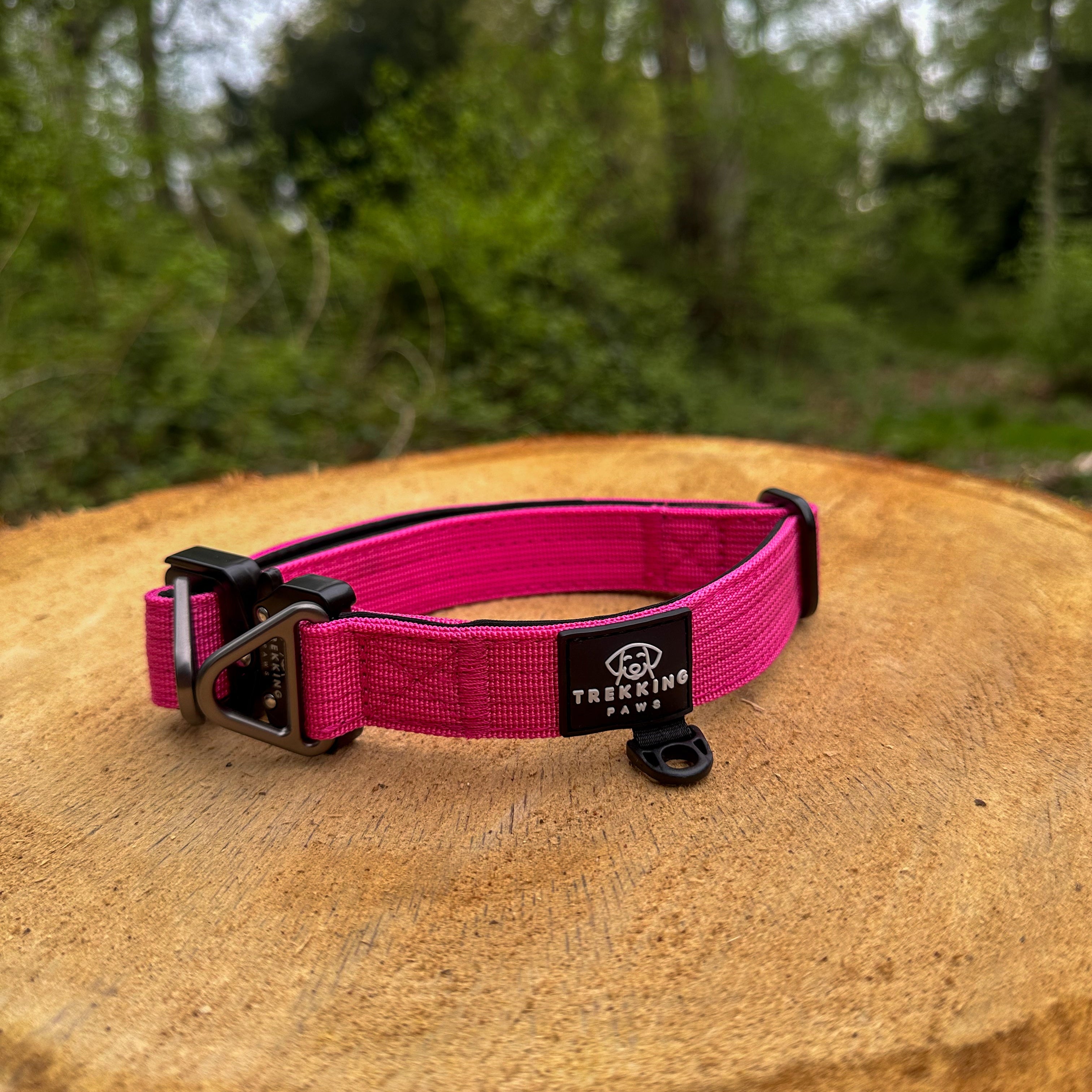 V2 Trekking Light-Duty Dog Collar
