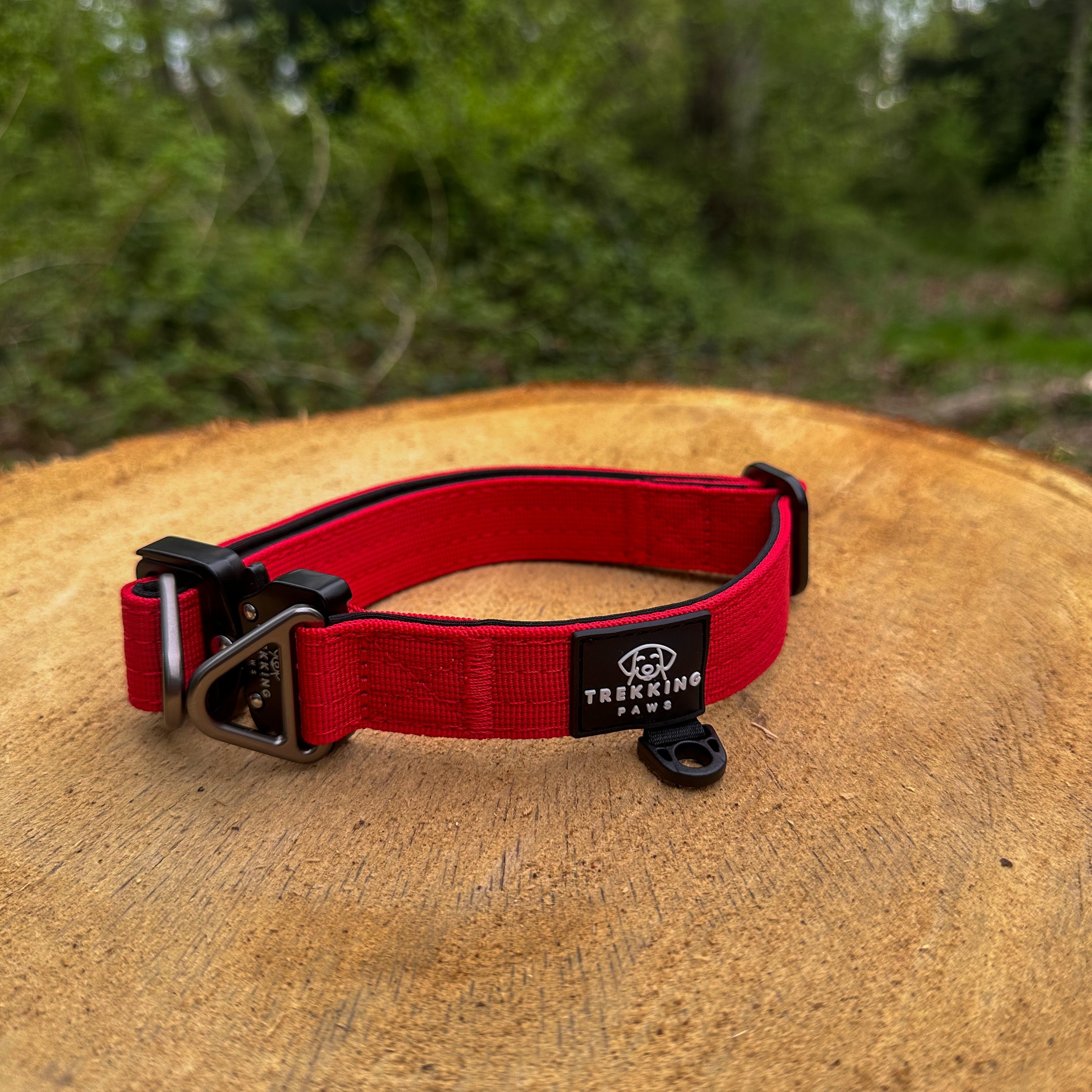 V2 Trekking Light-Duty Dog Collar