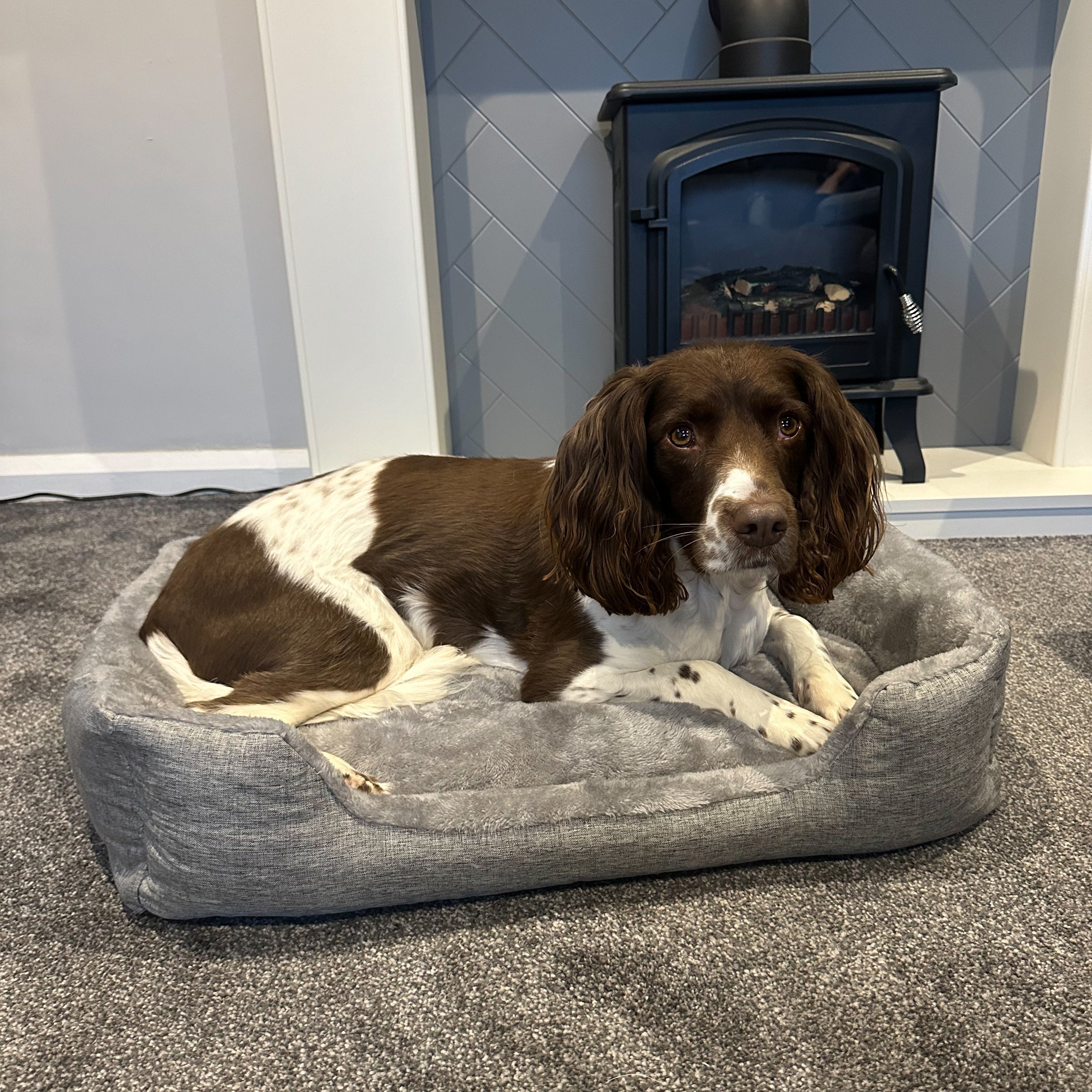 Trekking Paws Dog Bed