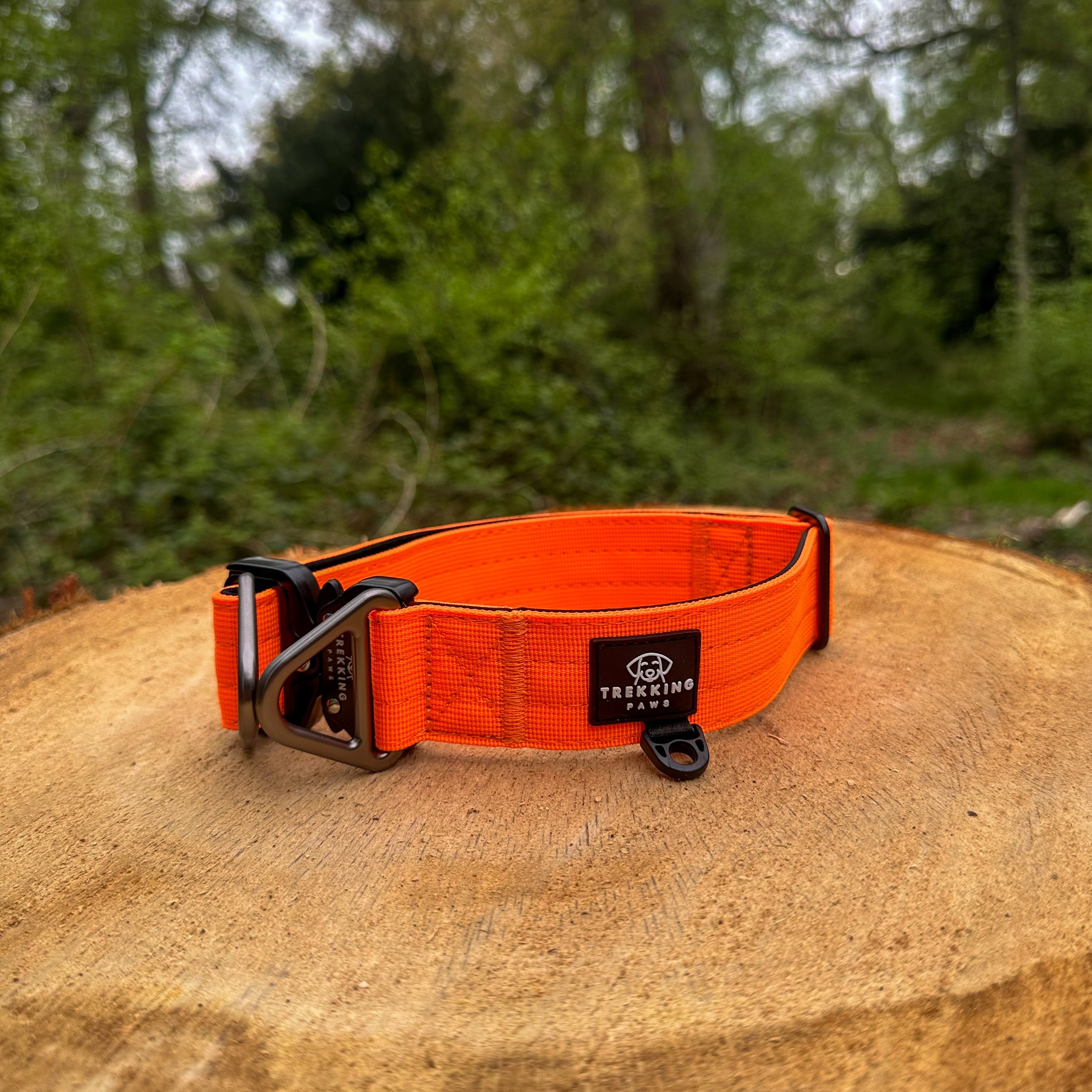 V2 Trekking Heavy-Duty Dog Collar