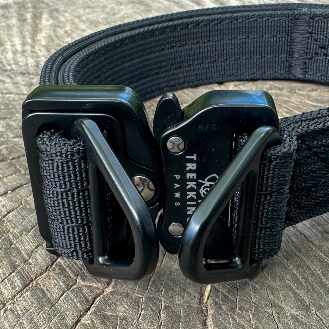 Trekking Light-Duty Dog Collar