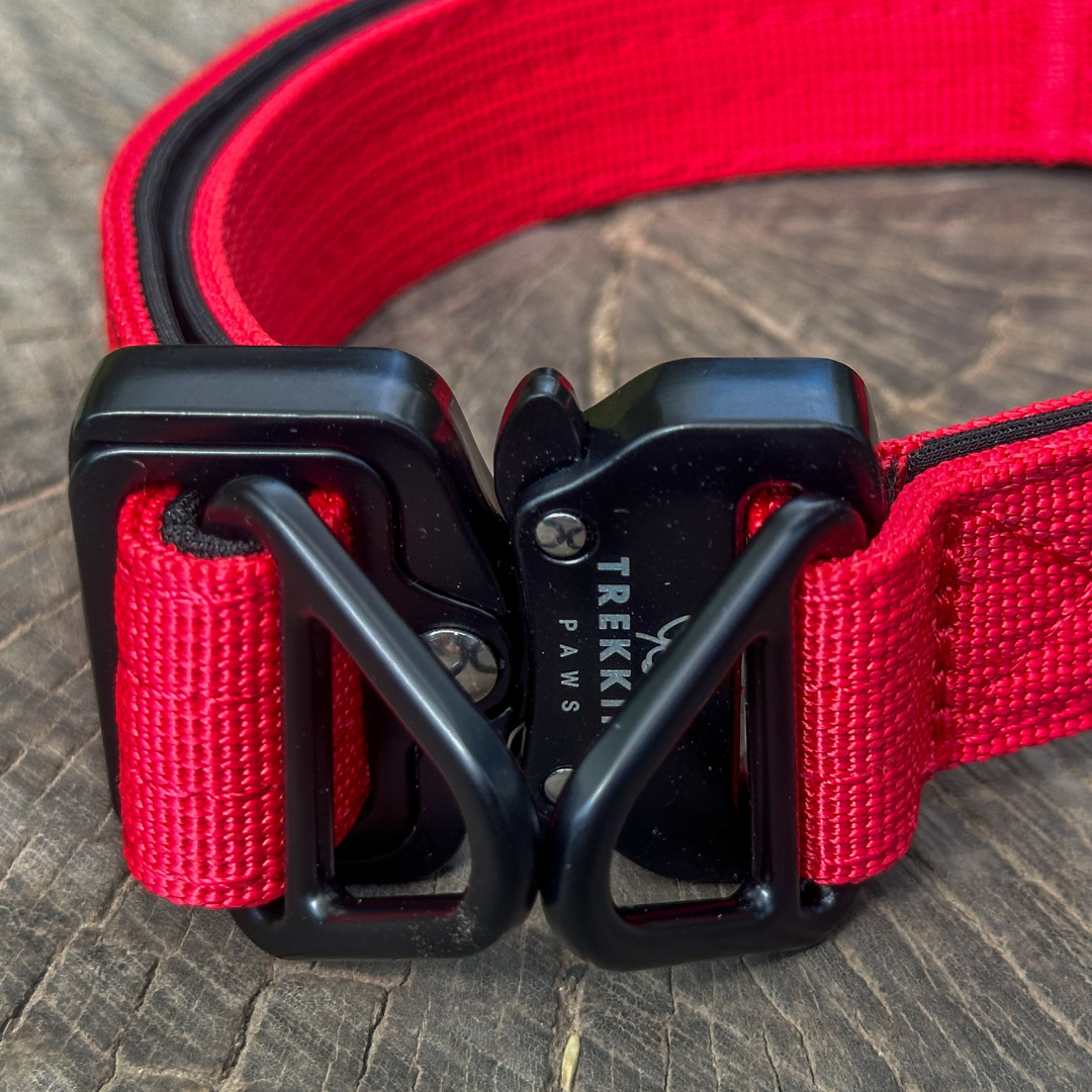 Trekking Heavy-Duty Dog Collar