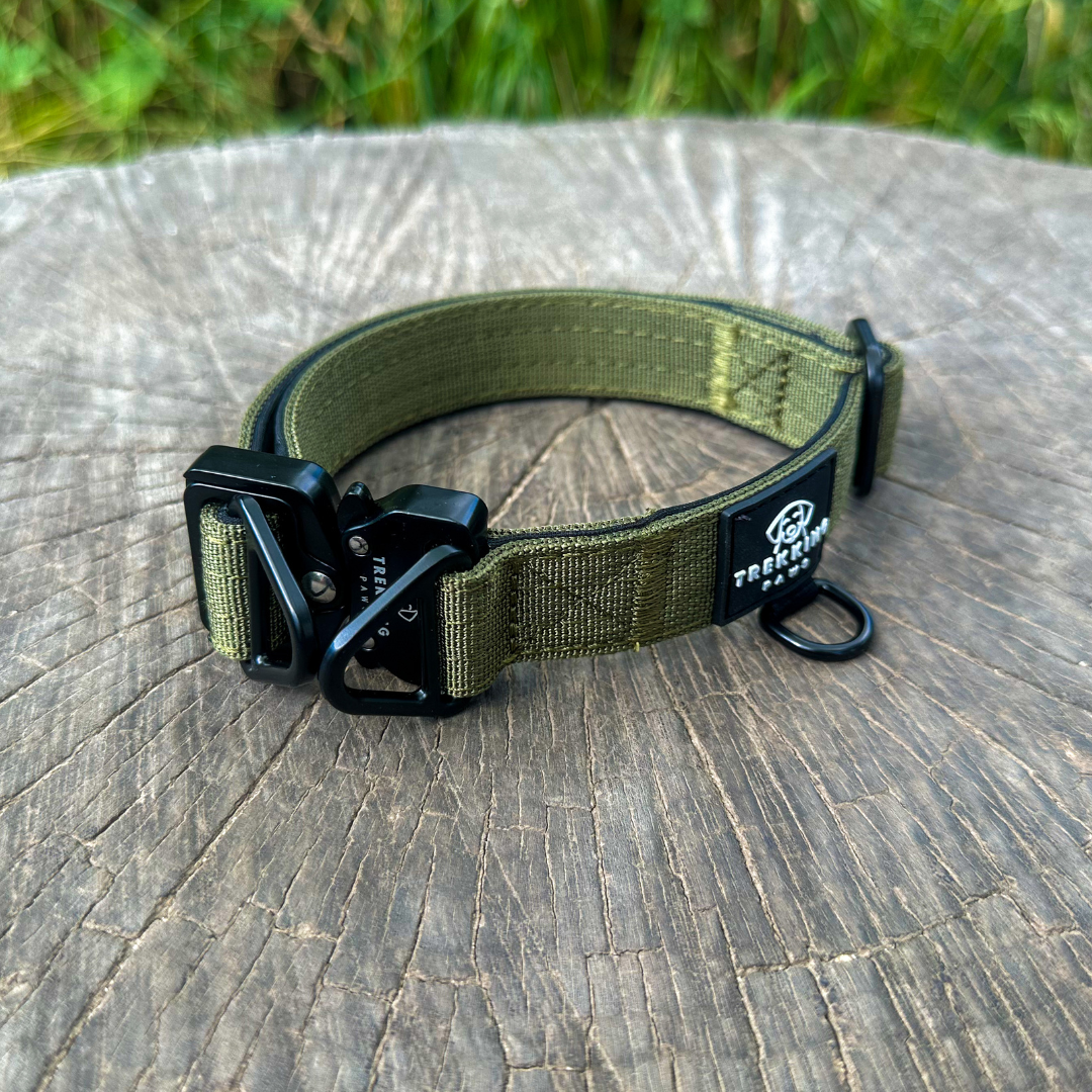 Trekking Light-Duty Dog Collar