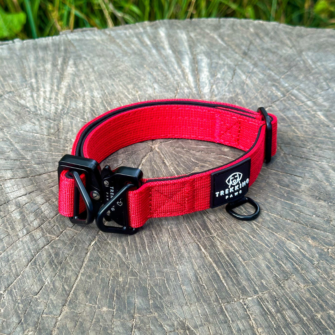 Trekking Light-Duty Dog Collar