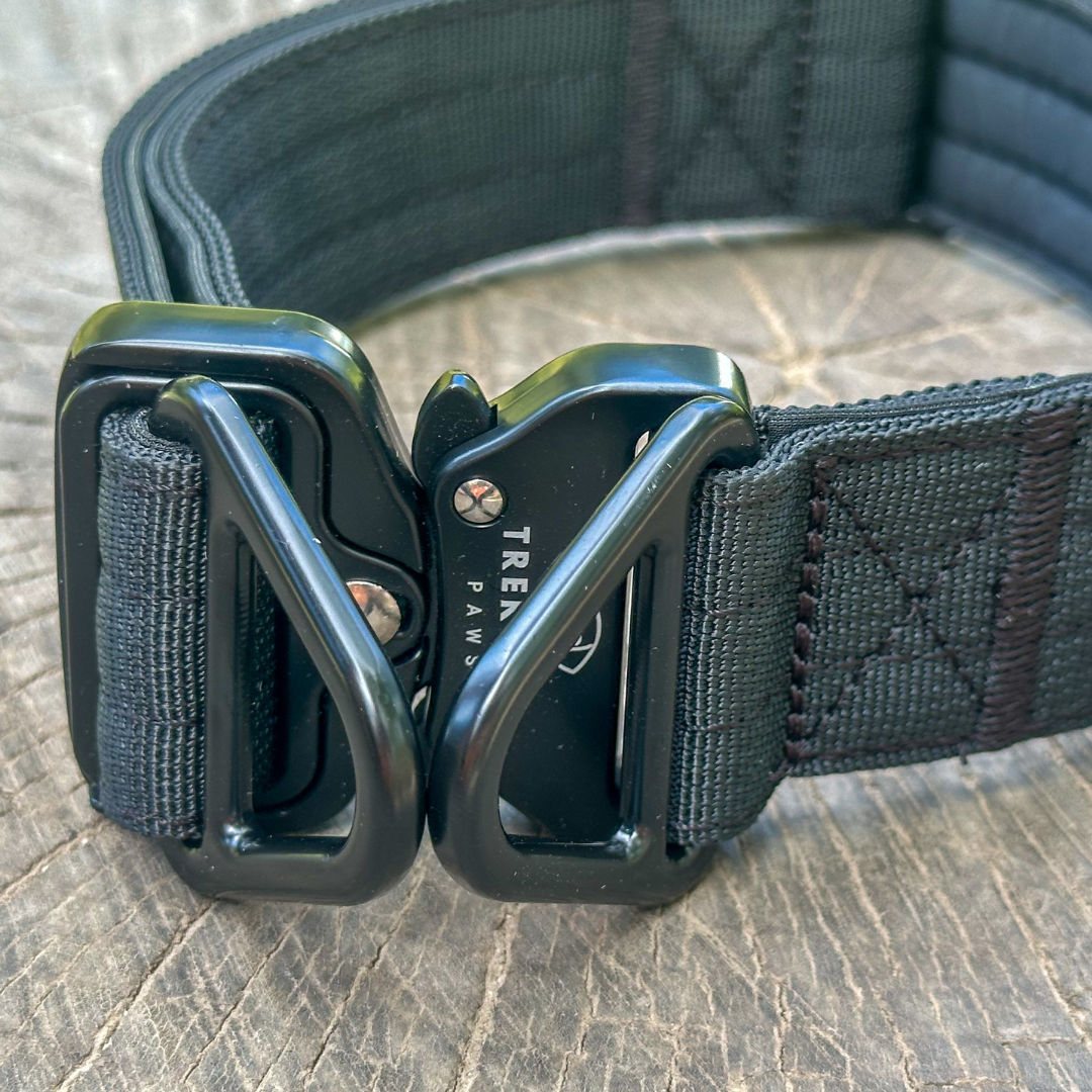 Trekking Heavy-Duty Dog Collar