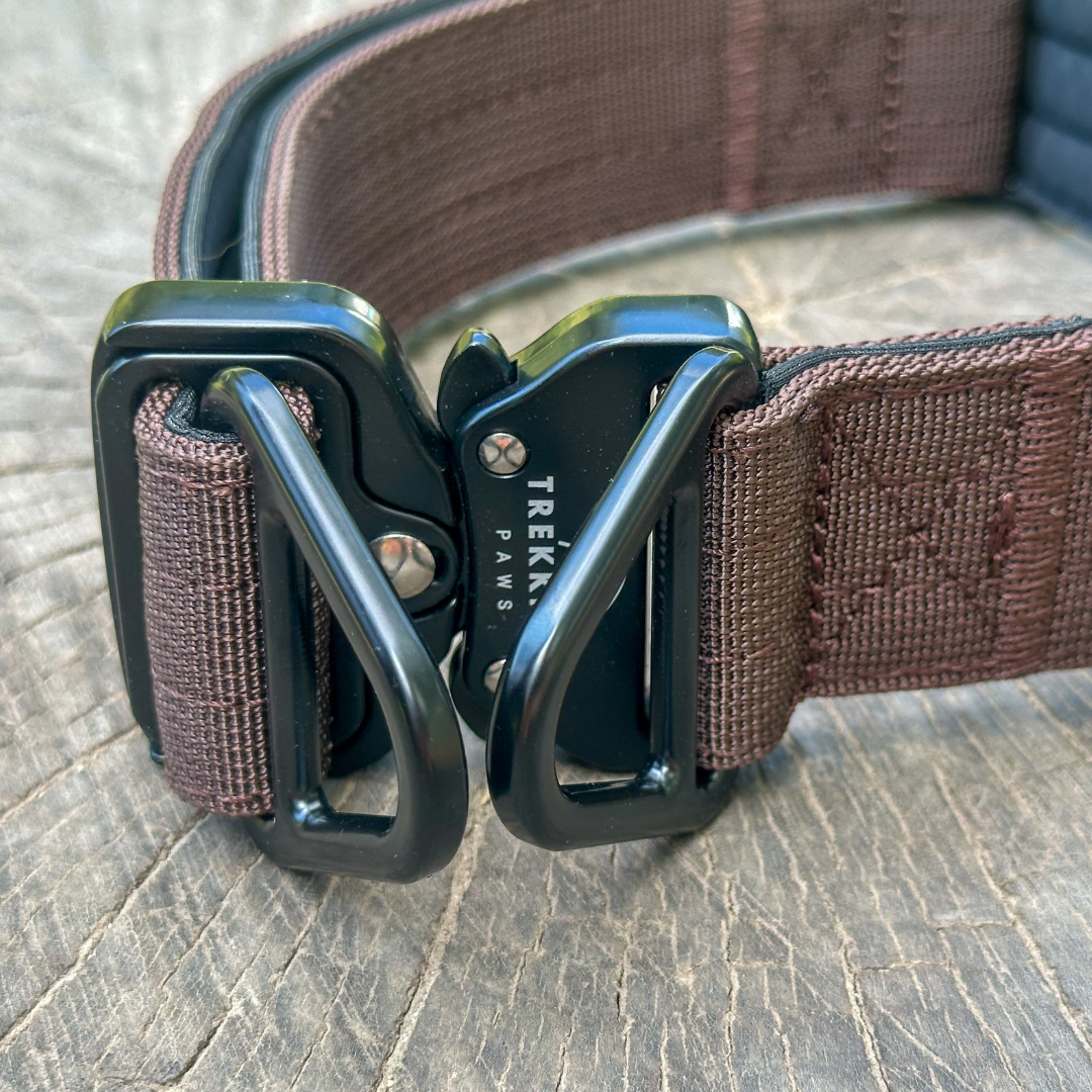 Trekking Heavy-Duty Dog Collar