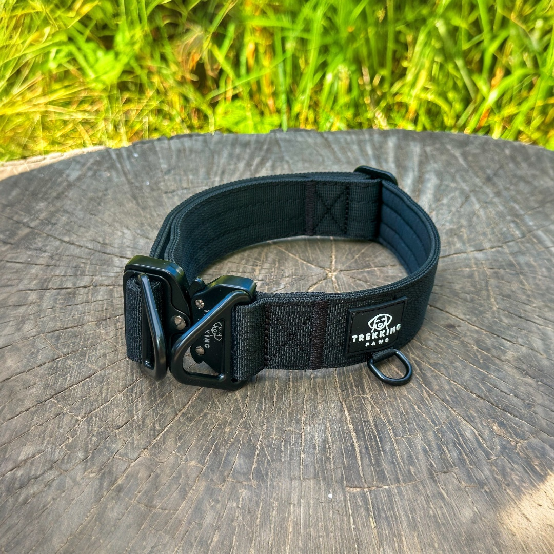 Trekking Heavy-Duty Dog Collar