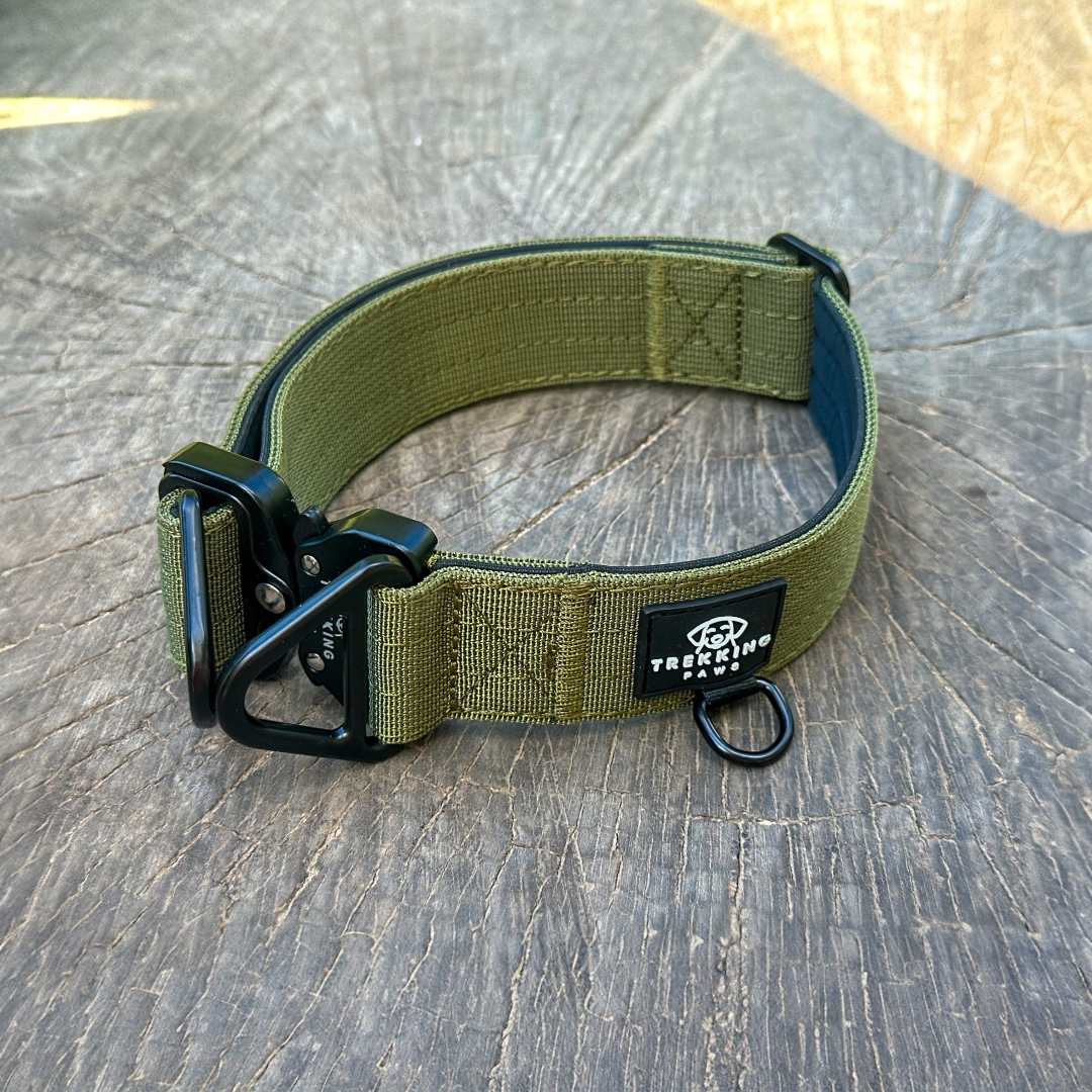 Trekking Heavy-Duty Dog Collar