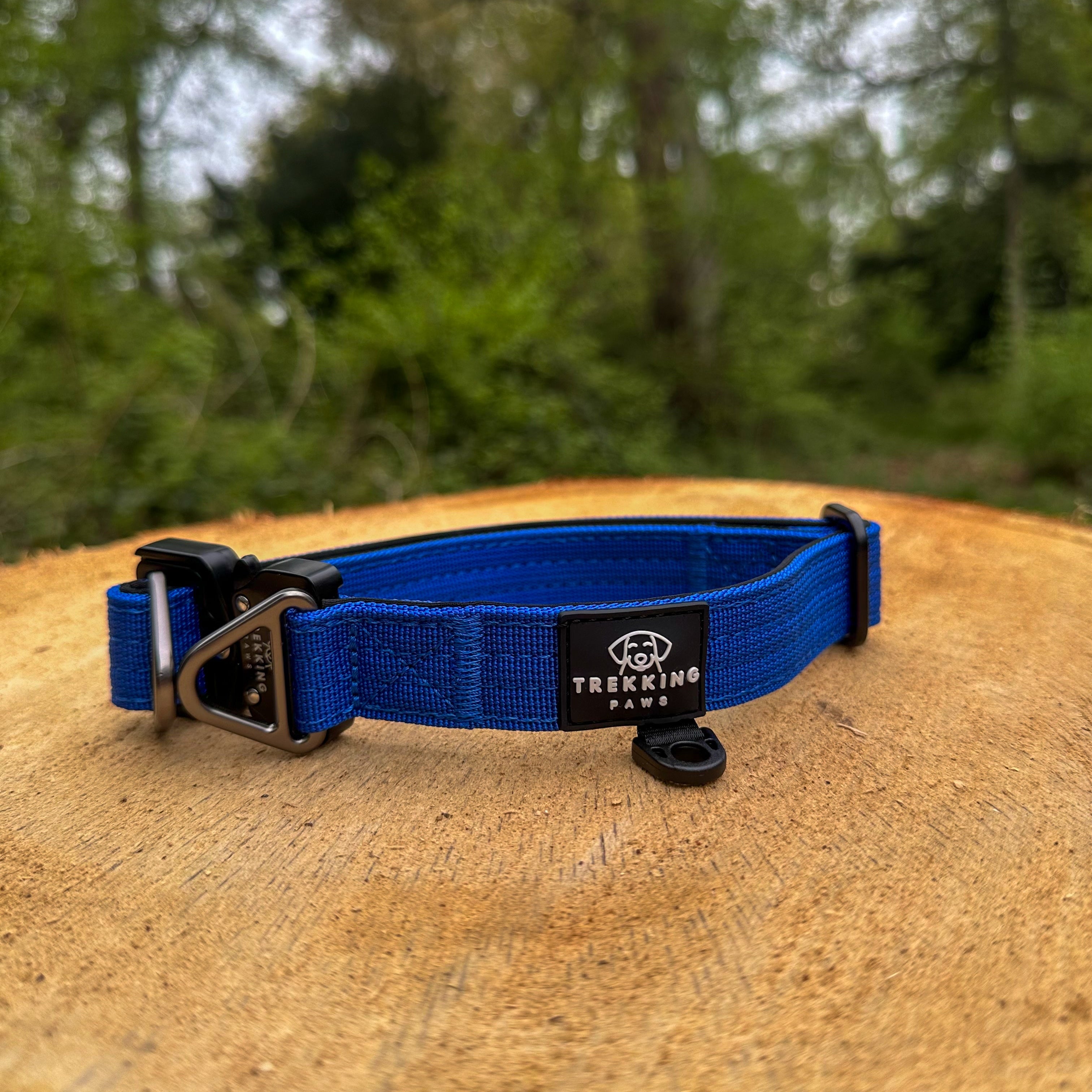 V2 Trekking Light-Duty Dog Collar