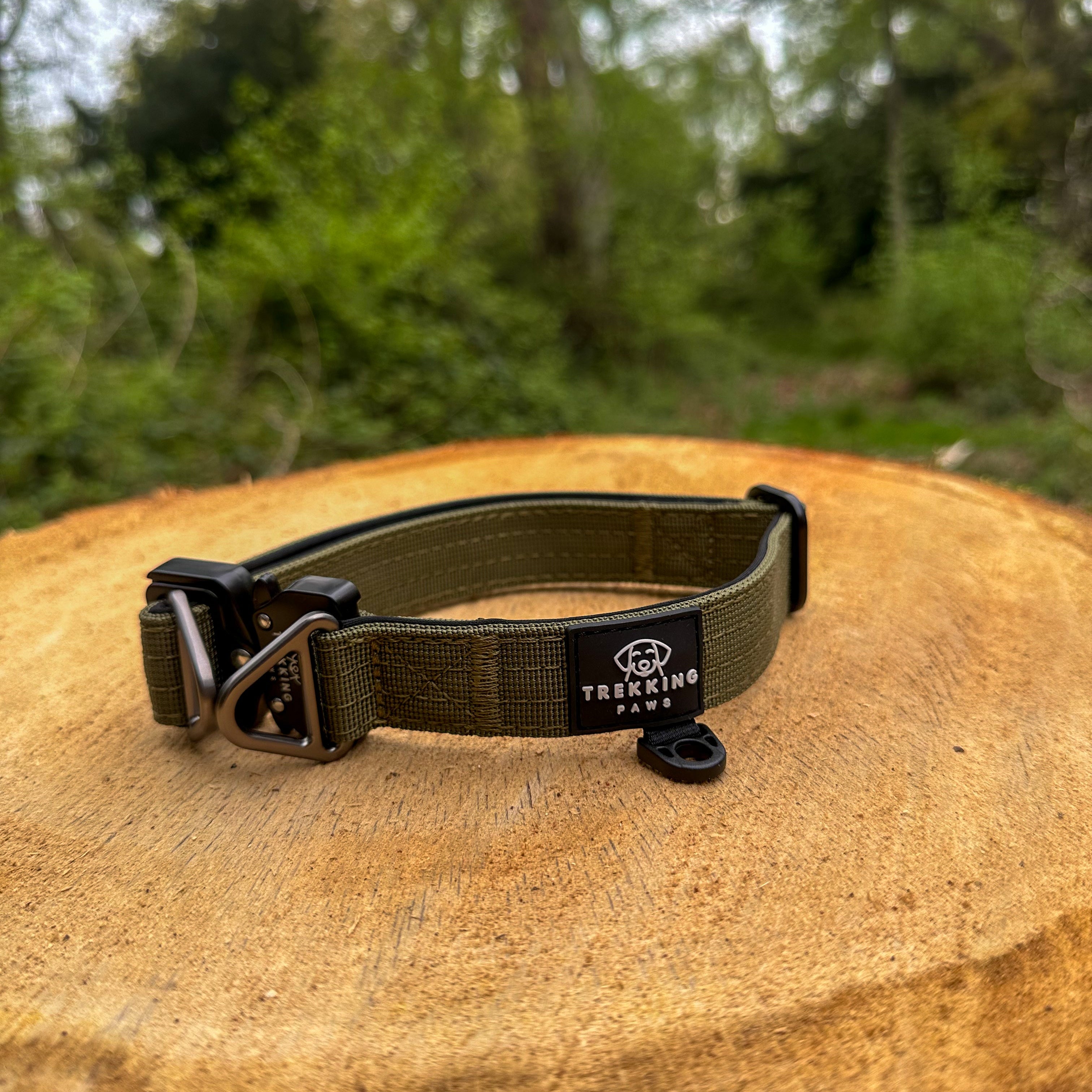 V2 Trekking Light-Duty Dog Collar