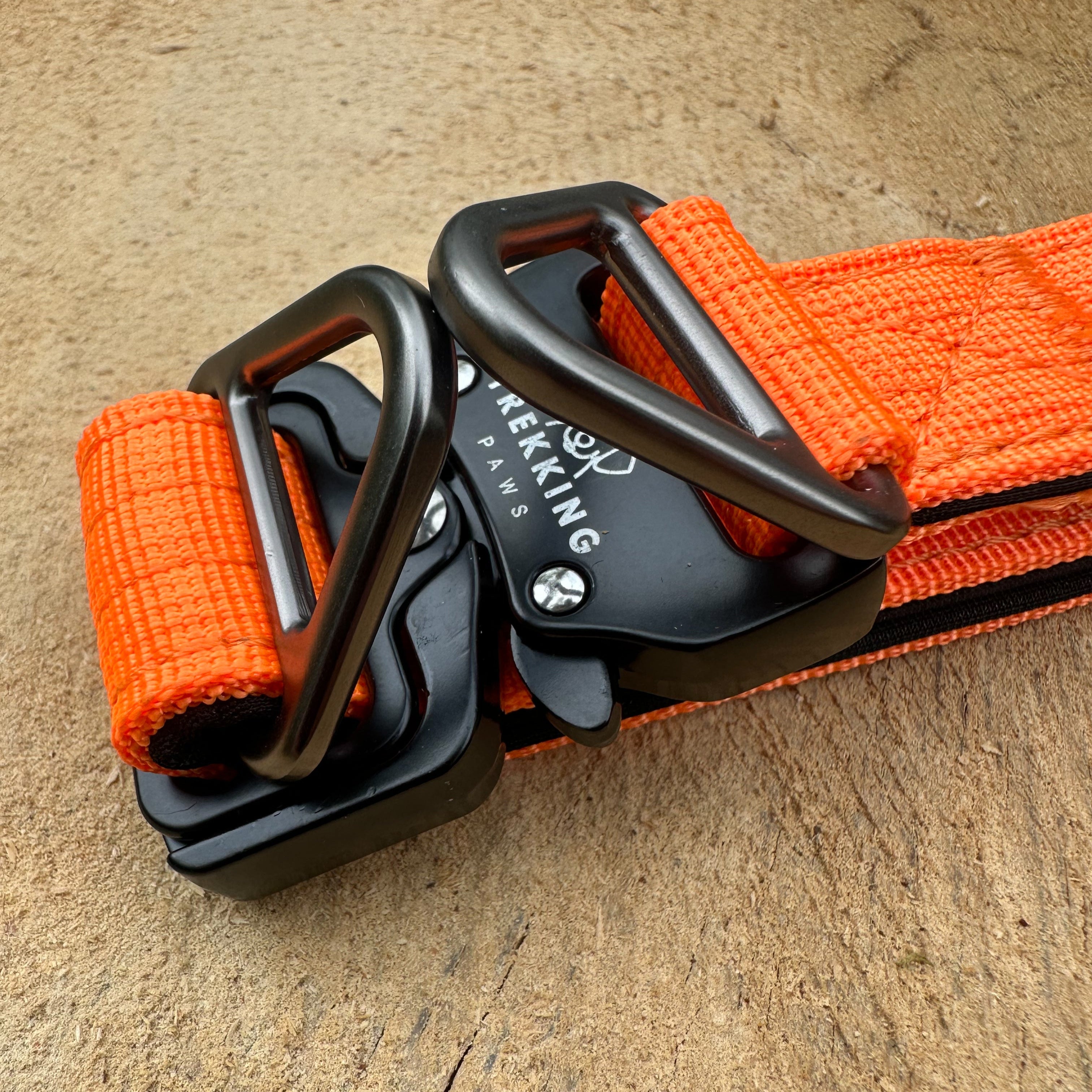 V2 Trekking Light-Duty Dog Collar
