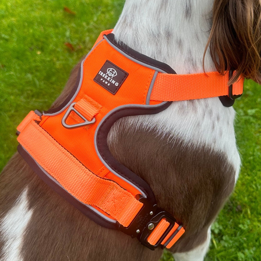Orange Trekking Paws Harness 